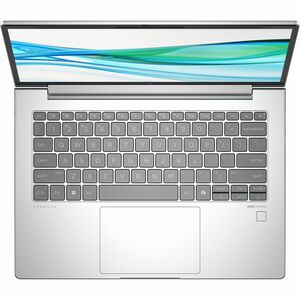 HP ProBook 445 G11 35.6 cm (14") Notebook - WUXGA - AMD Ryzen 5 7535U - 16 GB - 1 TB SSD - Pike Silver - AMD Chip - 1920 x