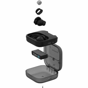 Fairphone Fairbuds True Wireless Earbud Stereo Earset - Black - Siri, Google Assistant - Binaural - In-ear - 1000 cm - Blu