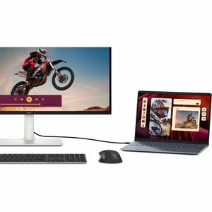 Dell Plus S2725QC 27 Zoll Class 4K UHD LED-Monitor - 16:9 Format - 68,6 cm (27 Zoll) Viewable - IPS-Technologie (In-Plane-