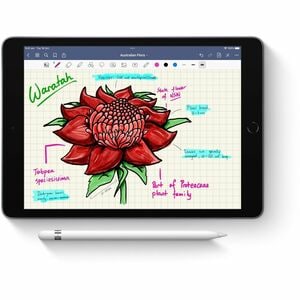 Apple Pencil (1st Generation)