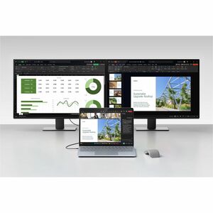 SrfcLptp7 13in C10/16/256 Platinum