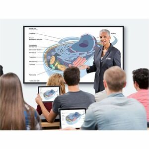 ViewSonic CN5501-1N 1.40 m (55") LCD Digital Signage Display - 24 Hours/7 Days Operation - Thin Film Transistor (TFT) - 4 