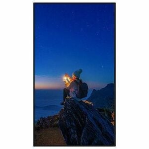 Sharp 75" Ultra High Definition Professional Display - 75" LCD - In-plane Switching (IPS) Technology - 24 Hours/7 Days Ope