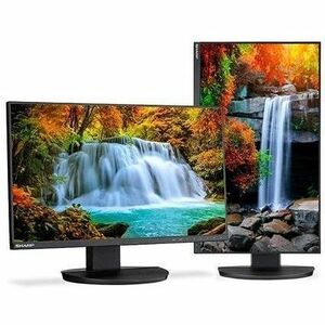 Sharp MultiSync DD-EA242F 24" Class Full HD LED Monitor - 16:9 - Black - 23.8" Viewable - In-plane Switching (IPS) Technol