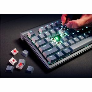 CHERRY XTRFY G80-3883 Gaming Keyboard - Tenkeyless - Wired/Wireless Connectivity - USB Type A Interface - RGB LED - Englis