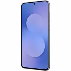 Samsung Galaxy S25 FE SM-S731B/DS 128 GB Smartphone - 17 cm (6.7") Dynamic AMOLED 2X Full HD Plus 1080 x 2340 - Deca-core 