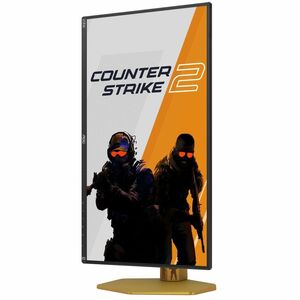 24.5 CS2 Special Eddition Fast IPS FHD Adaptive Sync 0.3ms 310Hz OC HDR400 2H1DP Borderless Height Adjustable Stand VESA 1