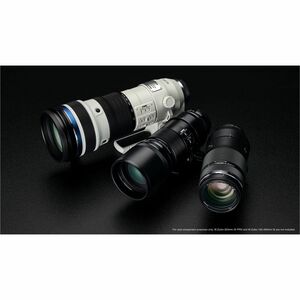 Olympus M.ZUIKO DIGITAL - 150 mm to 400 mm - f/22 - f/4.5 - Telephoto, Ultra Telephoto, Teleconverter Zoom Lens - 95 mm At