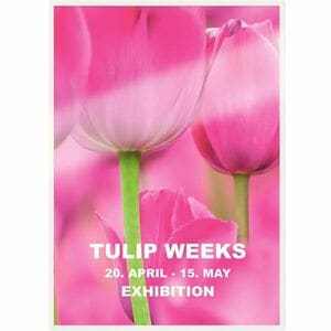 Leitz iLAM Laminating Pouch - Sheet Size Supported: A4 - Laminating Pouch/Sheet Size: 303 mm Width x 125 µm Thickness - Gl