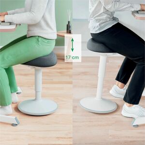 Leitz Ergo Active Sit/Stand Stool - 470 mm to 640 mm High - Dual Density Foam (DDF) Seat - Rounded Base - Dark Grey - Rubber