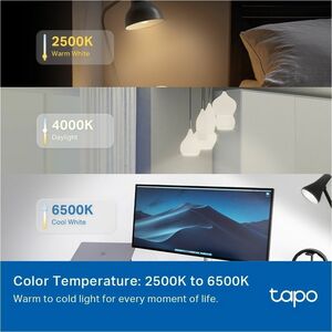 Tapo L430P LED-Glühlampe - 4,80 W - 40 W Glühbirnenähnliche Wattleistung - 240 V AC, 220 V AC - 470 lm - P45 Größe - Mehrf