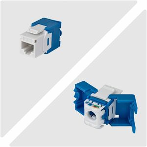 StarTech.com Gold Plated Network Connector - 24 / Pack - TAA Compliant - 1 x RJ-45 Network - Female - White