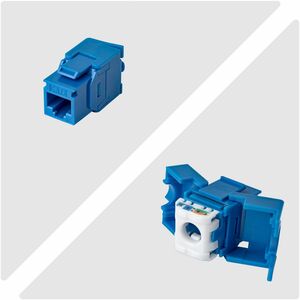 StarTech.com Gold Plated Network Connector - 24 / Pack - TAA Compliant - 1 x RJ-45 Network - Female - Blue
