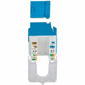 StarTech.com Gold Plated Network Connector - 24 - 1 x RJ-45 Network - Blue
