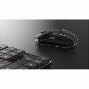 Lenovo 8000 Full-size Maus - Bluetooth/Radio-Frequenz - USB Typ-A - Infrarot - 5 Taste(n) - Grau - 1 Box - PC, Mac - Kabel