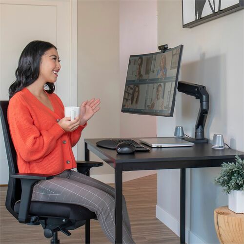 Ergotron Mounting Arm for Monitor, Display Screen, Curved Screen Display - Black - Landscape/Portrait - Height Adjustable 