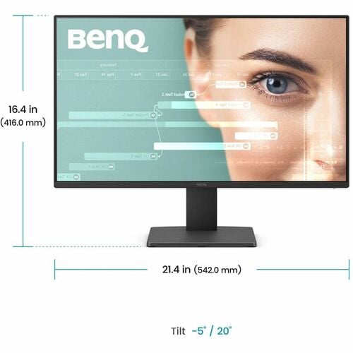 BenQ GW2491 24" Class Full HD LED Monitor - 16:9 - 60.5 cm (23.8") Viewable - In-plane Switching (IPS) Technology - LED Ba