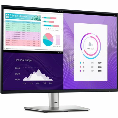 Miniatura 9 de DELL MONITOR P2425H
