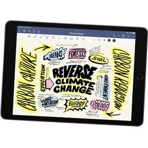 Apple iPad (9th Generation) A2602 Tablet - 10.2" - Apple A13 Bionic Hexa-core - 256 GB Storage - iPadOS 15 - Space Gray - 