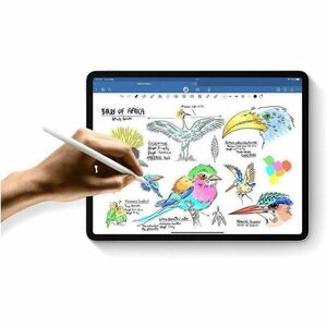 13-inch iPad Pro WiFi + Cellular 256GB with Standard glass - Silver