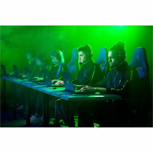 BLADE 16 (S11-NT/QHD+ 240HZ OLED/RYZEN AI9-365/32GB/RTX 5070