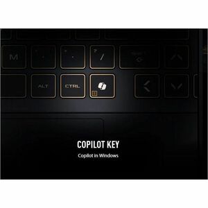 TUF Gaming F16 FX608 FX608JPR-QT046W 40.6 cm (16") Gaming Notebook - QHD+ - 165 Hz - Intel Core i7 14th Gen i7-14650HX - 3