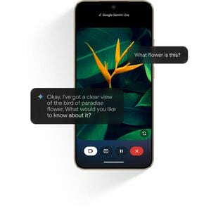 Honor Magic8 Lite 512 GB Smartphone - 17,2 cm (6,8 Zoll) AMOLED 1.5K 2640 x 1200 - Octa-Core (Cortex A720Single-Core 2,30 