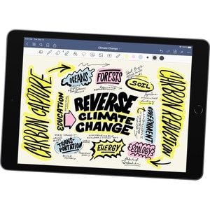 Apple iPad (9th Generation) A2602 Tablet - 10.2" - Apple A13 Bionic Hexa-core - 256 GB Storage - iPadOS 15 - Space Gray - 