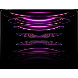 Apple iPad Pro (4th Generation) Tablet - 27.9 cm (11") - Apple M2 Octa-core - 8 GB - 256 GB Storage - 5G - Space Gray - 23