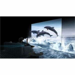 TCL C6K 55C6K 55 Zoll (139,70 cm) Smart LED-LCD TV - 4K UHDTV - Hoher Dynamikbereich (High Dynamic Range, HDR) - HDR10+, H