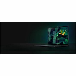 Asus ProArt PZ14 HT7407 HT7407NA-SN024WS 35.56 cm (14") Touchscreen Detachable Copilot+ PC 2 in 1 Notebook - 3K - 144 Hz -