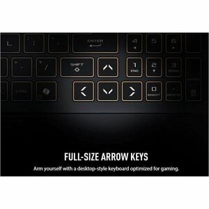 TUF Gaming F16 FX608 FX608JPR-QT046W 40.6 cm (16") Gaming Notebook - QHD+ - 165 Hz - Intel Core i7 14th Gen i7-14650HX - 3