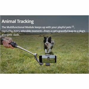 DJI Osmo Mobile 8 Tripod - 300.5 g Load Capacity