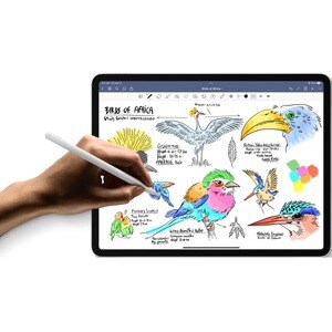 iPad (9th Gen) 10.2in Wi-Fi 64GB - Silver - A13 Bionic - Touch ID - Lightning - Supports Apple Pencil (1st Gen) and Smart 