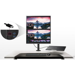 28in SDQHD DualUp Monitor with Ergo Stand