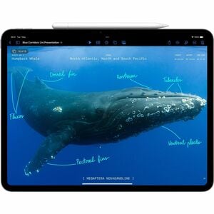 IPAD PRO 13 WF CL 256GB SILVER