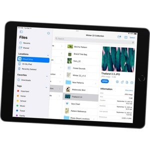 Apple iPad (9th Generation) A2602 Tablet - 10.2" - Apple A13 Bionic Hexa-core - 64 GB Storage - iPadOS 15 - Space Gray - L