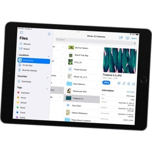 Apple iPad (9th Generation) A2602 Tablet - 10.2" - Apple A13 Bionic Hexa-core - 256 GB Storage - iPadOS 15 - Space Gray - 