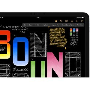 Apple iPad (9th Generation) Tablet - 25.91 cm (10.20") - Apple A13 Bionic Hexa-core - 256 GB Storage - iPadOS 15 - Silver 
