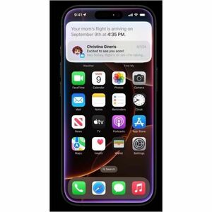 Apple iPhone 16 Pro Max 256 GB Smartphone - 6.9" OLED 2868 x 1320 - A18 ProHexa-core (6 Core) - iOS 18 - 5G - Black Titani