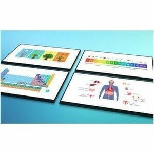 Optoma Creative Touch 3863RK Collaboration Display - 86" LCD Cortex A72 + A53 - 8 GB - Infrared (IrDA) - Touchscreen - 384