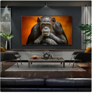LG evo G5 OLED65G54LW 165.1 cm Smart OLED TV - 4K UHDTV - webOS 25 - Dolby Digital, Dolby Atmos, AI Sound