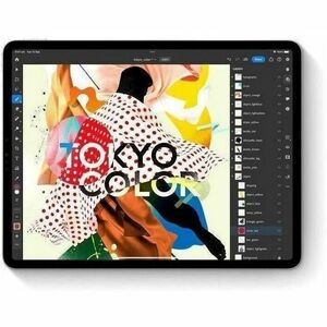 13-inch iPad Pro WiFi + Cellular 256GB with Standard glass - Silver