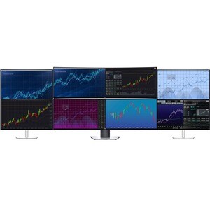 Dell UltraSharp U4924DW 49 Zoll Class Dual Quad HD (DQHD) Gekrümmter Bildschirm LCD-Monitor - 32:9 Format - 124,5 cm (49 Z
