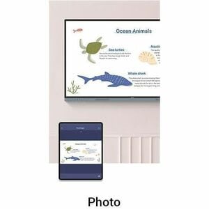 BenQ Board Master RM7504 1905 mm 4K UHD LCD Collaboration Display - ARM Cortex A73 + A53 - 8 GB - Infrarot (IrDA) - Touchs