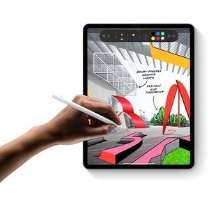 Apple iPad Pro (4th Generation) Tablet - 27.9 cm (11") - Apple M2 Octa-core - 8 GB - 256 GB Storage - 5G - Space Gray - 23