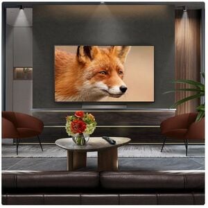 LG evo C5 OLED48C56LB 121.9 cm Smart OLED TV - 4K UHDTV - webOS 25 - Dolby Atmos, AI Sound, Dolby Digital