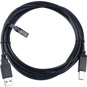 V7 V7E2USB2AB-03M 3.05 m USB-A/USB-B Data Transfer Cable - Cable for Computer, Peripheral Device, Digital Camera, Printer,