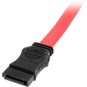 StarTech.com Câble adaptateur 30 cm Slimline SATA vers SATA avec alimentation LP4 - Cable for Disque dur, Disque Optique, 