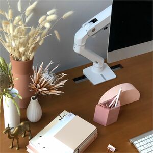 Ergotron Mounting Arm for Monitor, Display Screen, Curved Screen Display - White - Landscape/Portrait - Height Adjustable 